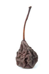 Similar image 666254