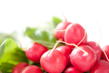 Similar image 666301