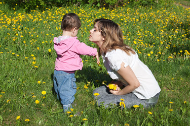 Similar image 666347