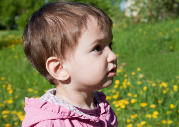 Similar image 666348