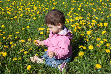 Similar image 666352