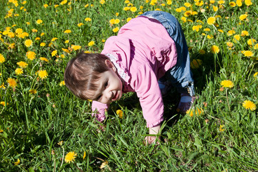 Similar image 666356