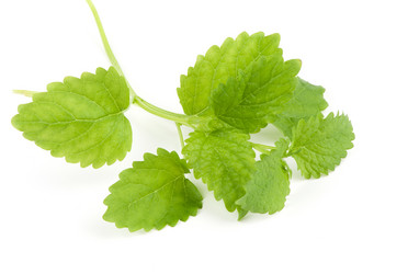 Similar image 666358