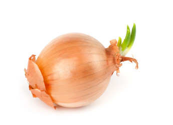 Similar image 666362