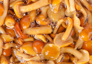 Similar image 666406