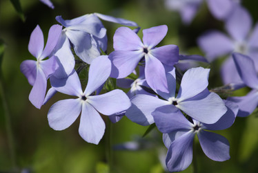 Similar image 666429