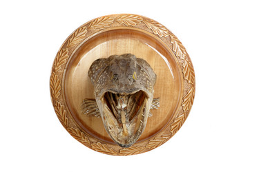 Similar image 666454