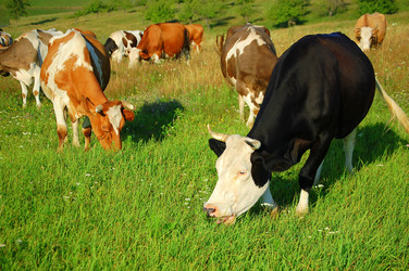 Similar image 666508