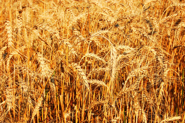 Similar image 666509