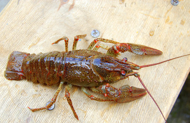 Similar image 666515