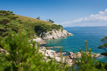 Similar image 666534