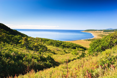 Similar image 666535