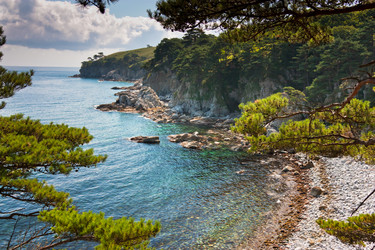 Similar image 666536