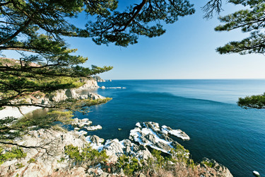 Similar image 666539