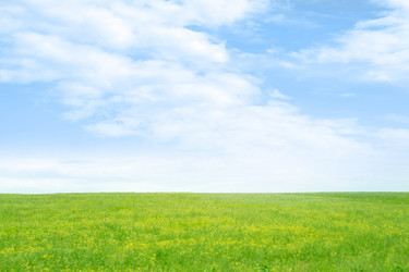 Similar image 666573