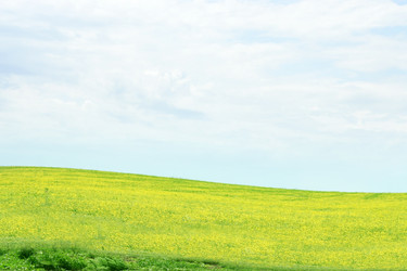 Similar image 666580