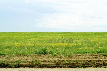 Similar image 666582