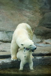 Similar image 666604