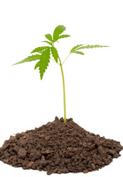 Similar image 666630