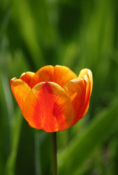 Similar image 666675