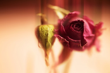 Similar image 666687