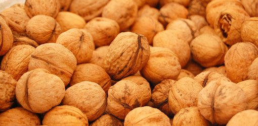 Similar image 666695