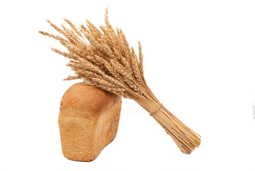 Similar image 666702