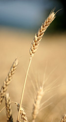 Similar image 666712