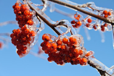 Similar image 666748