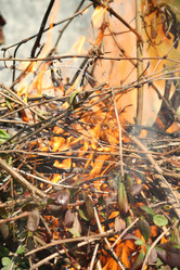 Similar image 666758