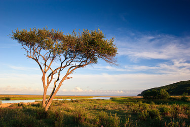 Similar image 666785