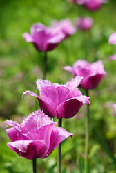 Similar image 666848