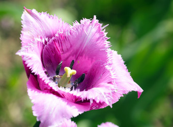 Similar image 666849