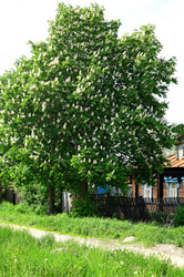 Similar image 666875