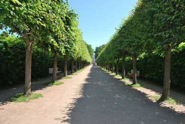 Similar image 666898