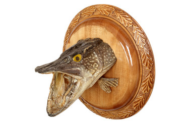 Similar image 666915