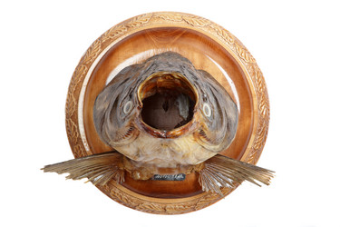 Similar image 666918