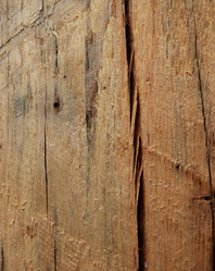 Similar image 666945