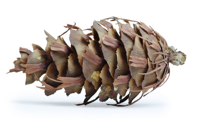 Similar image 667050