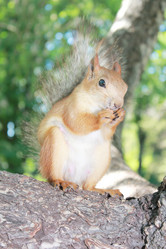 Similar image 667051