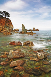 Similar image 667098