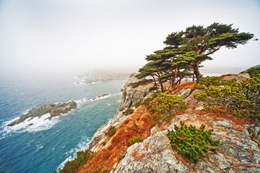 Similar image 667101