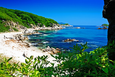 Similar image 667105