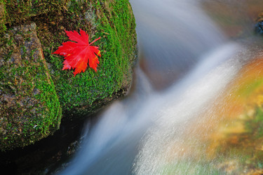 Similar image 667113