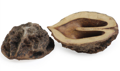 Similar image 667193