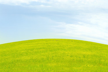 Similar image 667359