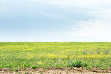 Similar image 667361