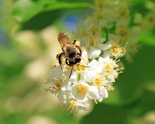 Similar image 667389