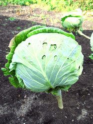 Similar image 667456