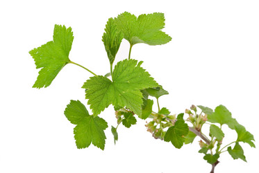 Similar image 667481